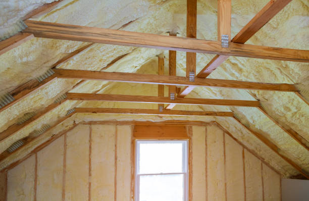 Best Residential Insulation in Bryn Mawr Skyy, WA