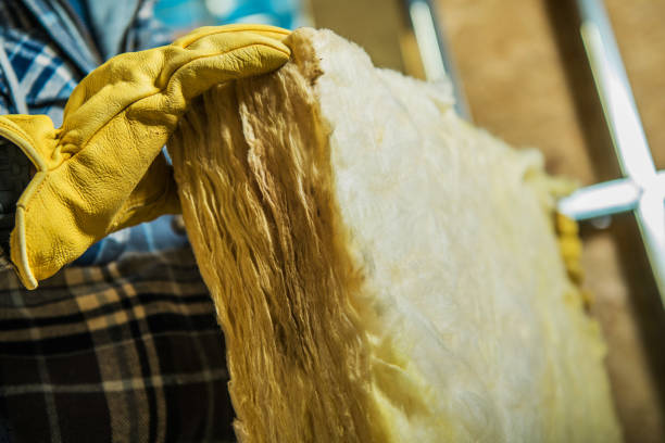 Best Types of Insulation in Bryn Mawr Skyy, WA